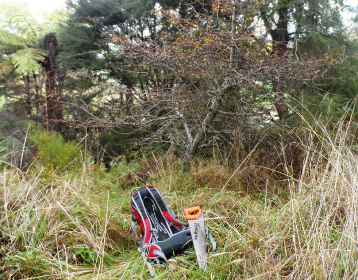 hawthorn bonsai yamadori